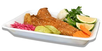 ظروف یکبار مصرف ظروف یکبار مصرف